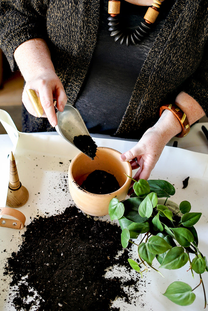 A white woman's hands are shown scooping potting soil into a terracotta pot. A green Philodendron plant and potting tools are visible. 