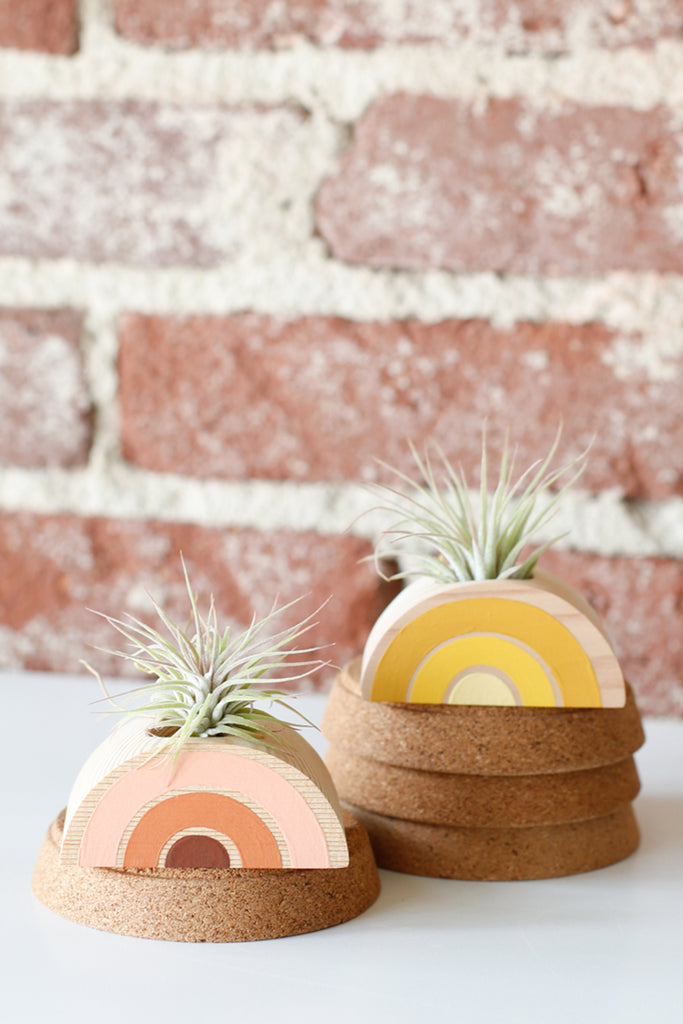 2 wooden air plant holders, with 3-color rainbows painted on the fronts