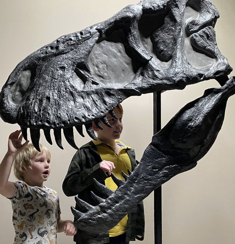 Prehistoric New Tyrannosaurus rex Half Skull Replica