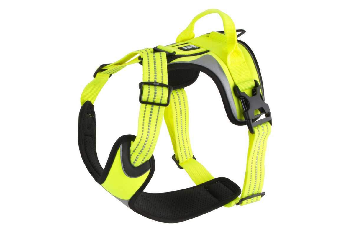 yellow dog harness