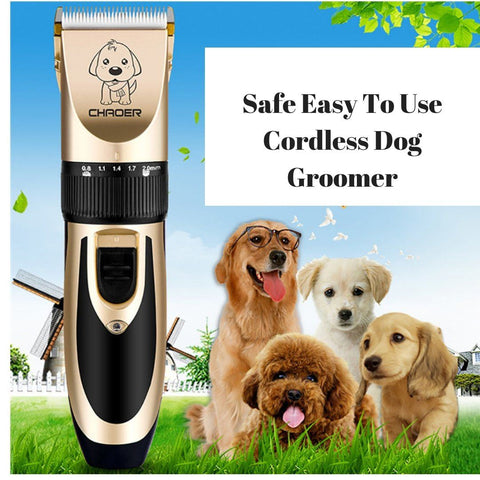 electric dog groomer