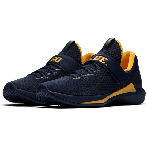 michigan wolverines jordan shoes