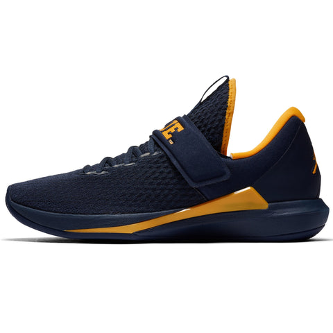 jordan trainer 3 michigan