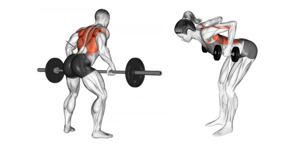 Strengthen Your Back: 10 Back-Building Exercises – World Fitness