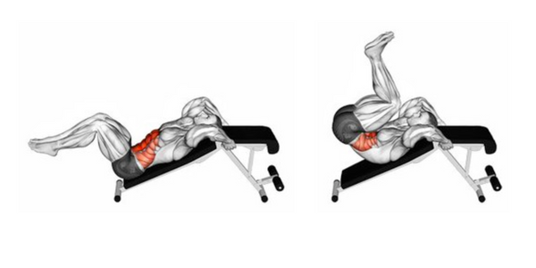Muscles used performing reverse crunches