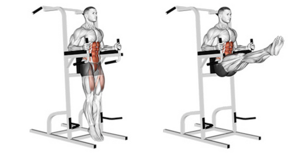 Muscles used performing leg raises