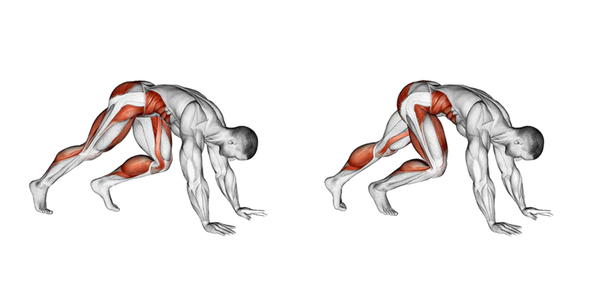 Muscles used performing mountain climbers