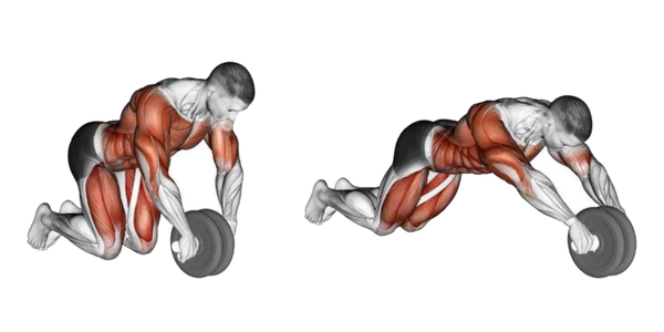 Muscles used performing ab rollouts