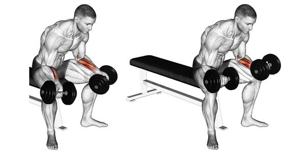 Arm muscles worked performing  Dumbbell wrist curls