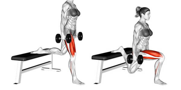 Muscles used performing Bulgarian Split Squat