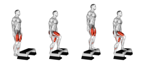 Muscles used performing step ups