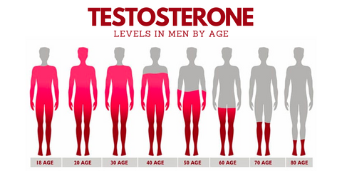 Testosterone Levels in men by age