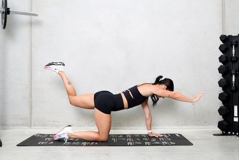 Brunette female doing bird dog exercise