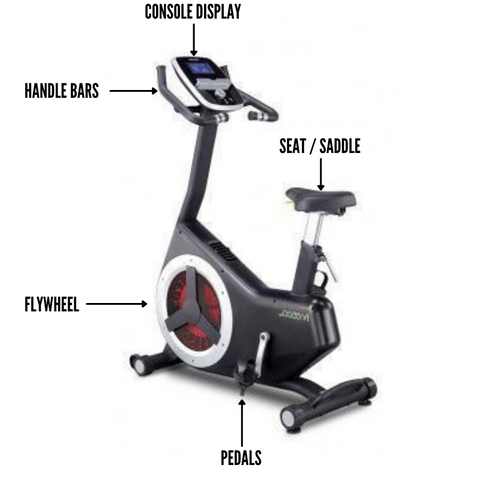 exercise bike anatomy