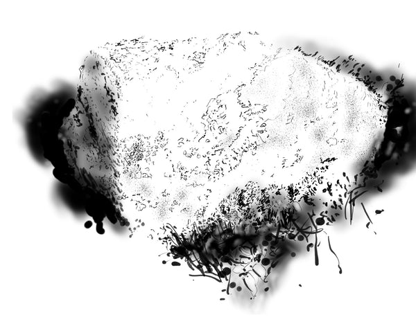 Digital drawing as though pen and ink, describes a large granite boulder with soft mosses growing around and the dark shadows created by this big rock. Fine and fluid drawn lines describe the form, with lots of white space around. 