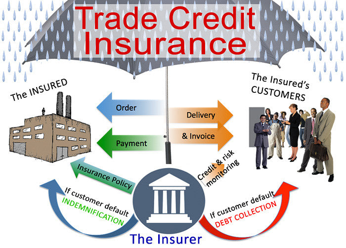 How Trade Credit Insurance Can Help Your Cash Flow - Cash Flow Signals