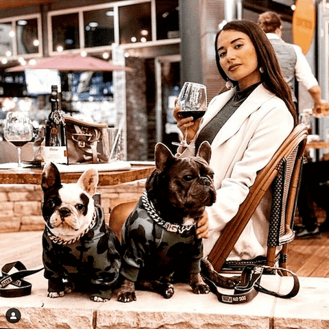 Napoleon and Ophelia behaving incredibly well while wearing the Shark Monster Dog Hoodie in Green Camo and Cuban Links in Silver.