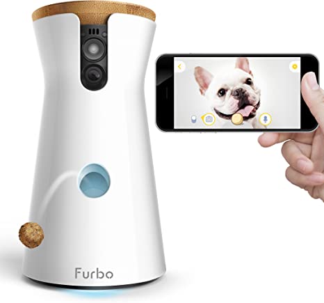 dog camera