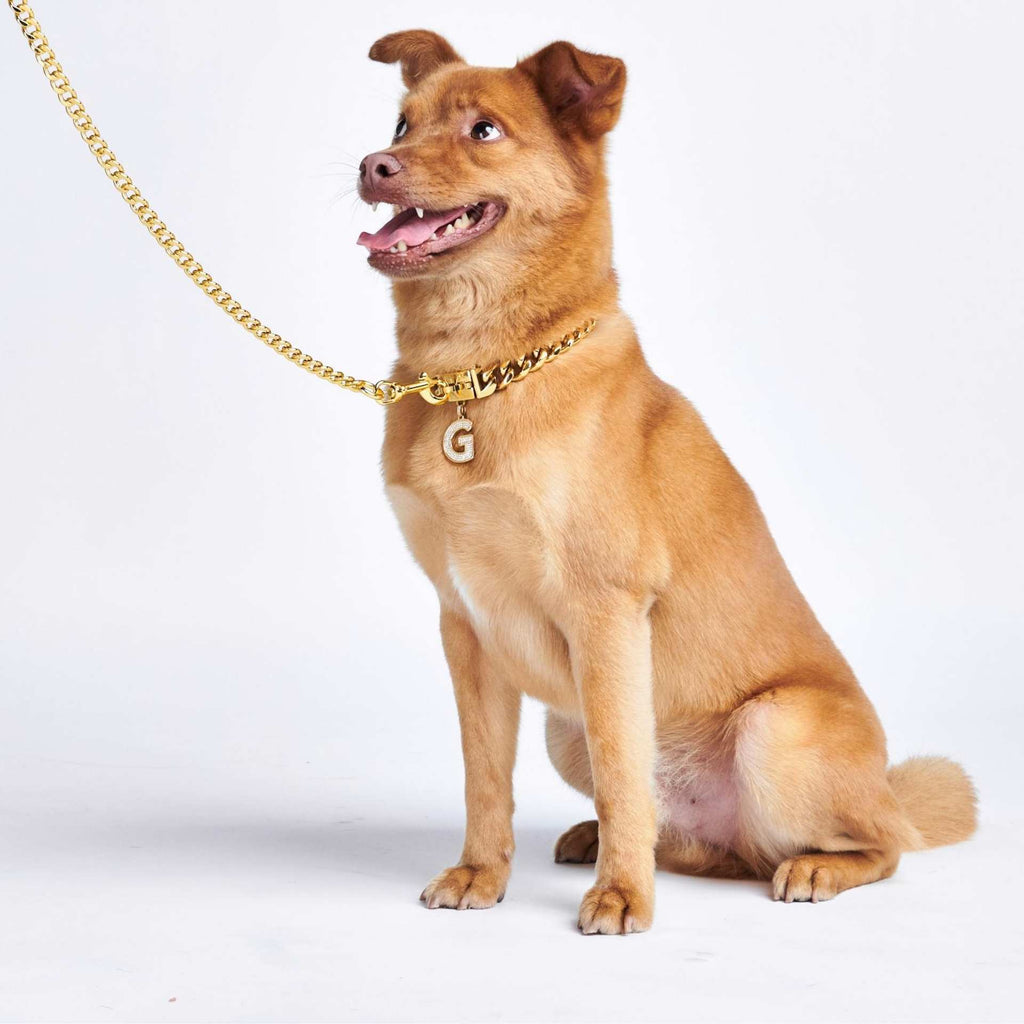 Cuban Link 18k Gold Dog Leash – SPARK PAWS