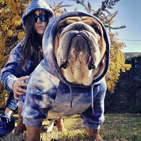 Matching dog and human apparel