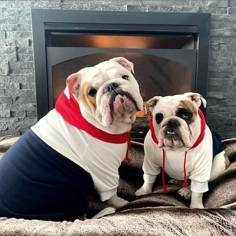 @romeotheladykiller & Juliet wearing the Red, White, Navy Dog Hoodie