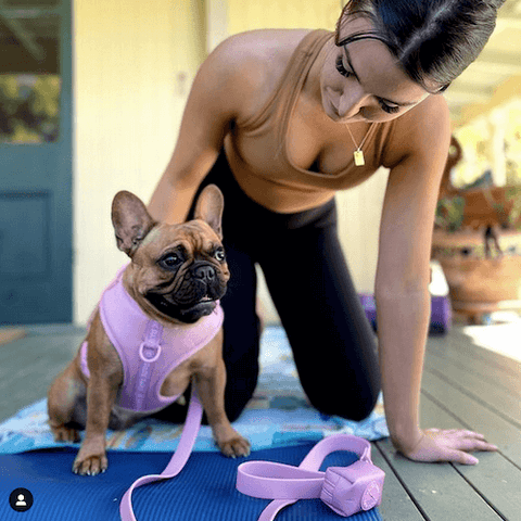 Astoria of @waldorf_and_astoria wearing the Athleisure Harness Set in Pink for yoga.