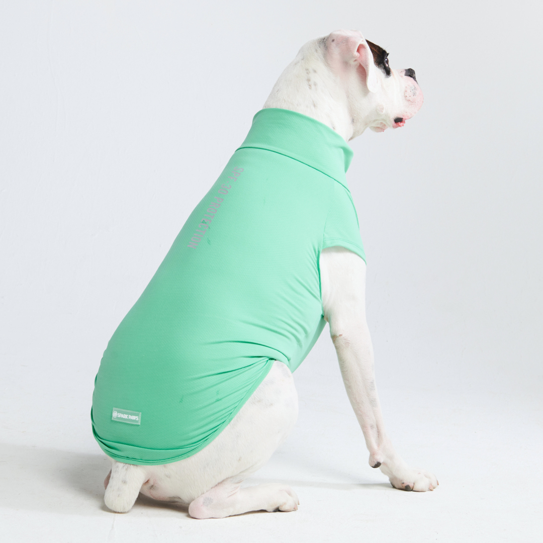 Product image for Sunblock Dog T-Shirts