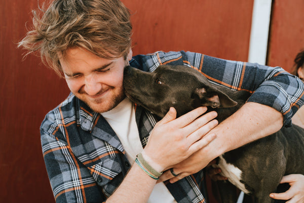 A Pit Bull Terrier excited to see his human home