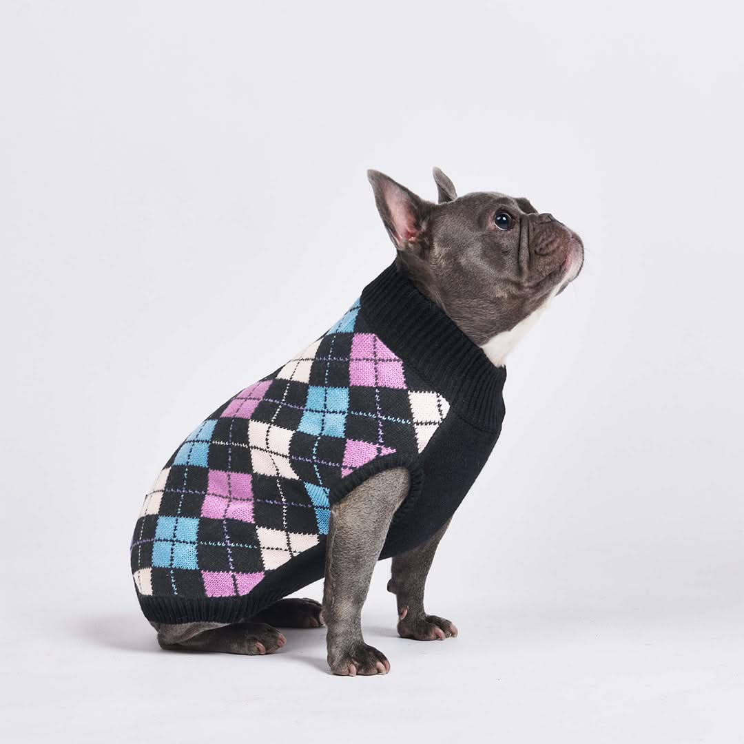 Black Argyle Knit Dog Sweater