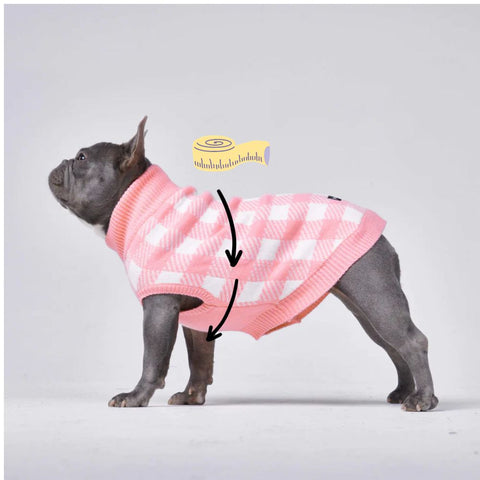 French Bull dog in a pink sweater - Chest measurement