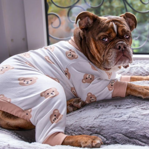 a dog lying in pajamas