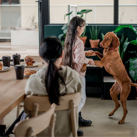 a large dog with his human family