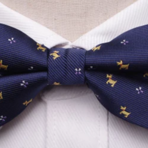 Dog bow tie