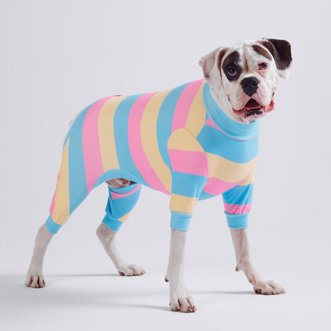 A large dog wearing pajamas