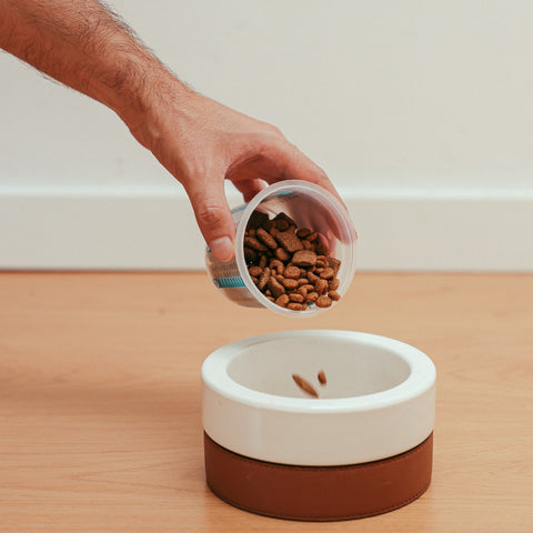 A person emptying a cup of dog food into a bowl