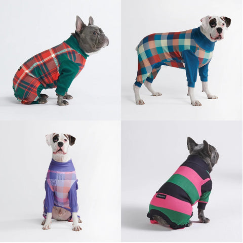 4 dogs wearing pajama onesies