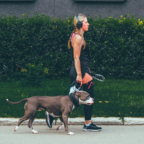 A blonde woman takes a pit bull for a walk in the suburbs