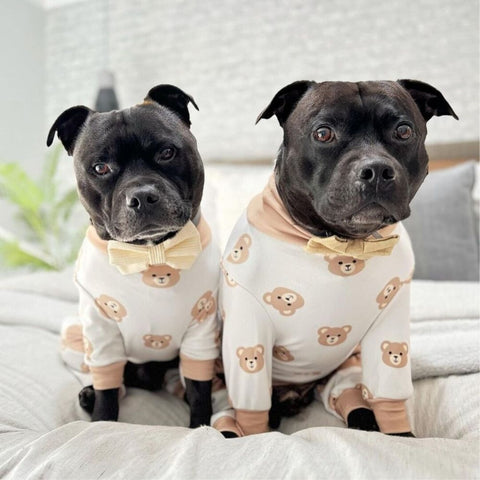 Two Pitbull's in Sparkpaw's dog pyjama's