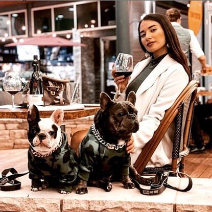 @xcuse.my.frenchie pups enjoying some al fresco time wearing Spark Paws Cuban Link Collars in silver and Dog Hoodies.