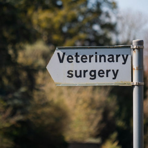 Vet surgery sign