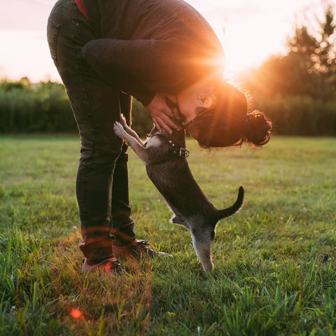 A woman kisses a puppy on top of its head in a meadow