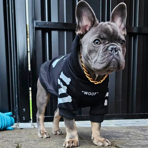 French Bull dog wearing a hoodie