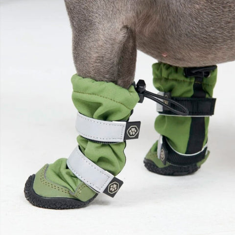a dog wearing shoes for the rain