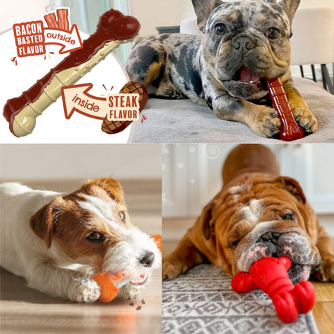 Dogs chewing a range of Nylabone products