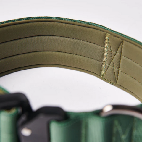 What is a Tactical Dog Collar?
