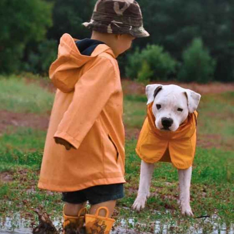 Toddler and Pitbull in matching orange raincoats.