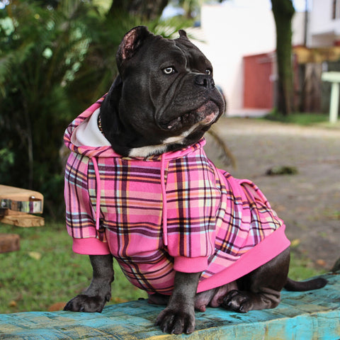 Black pitbull wearing a Sparkpaws pink hoodie