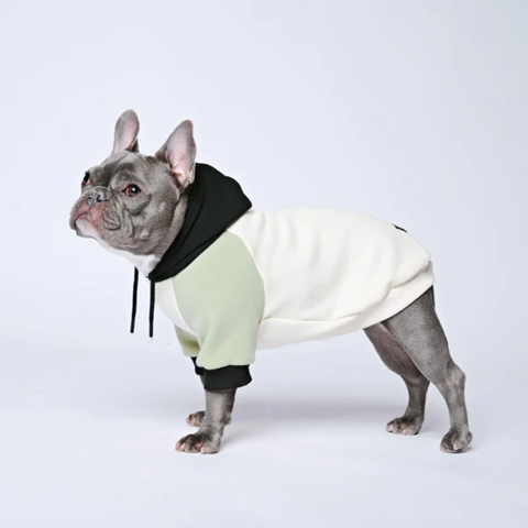 dog hoodie