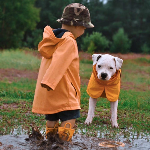 a young child playing in the water with a pitbull puppy