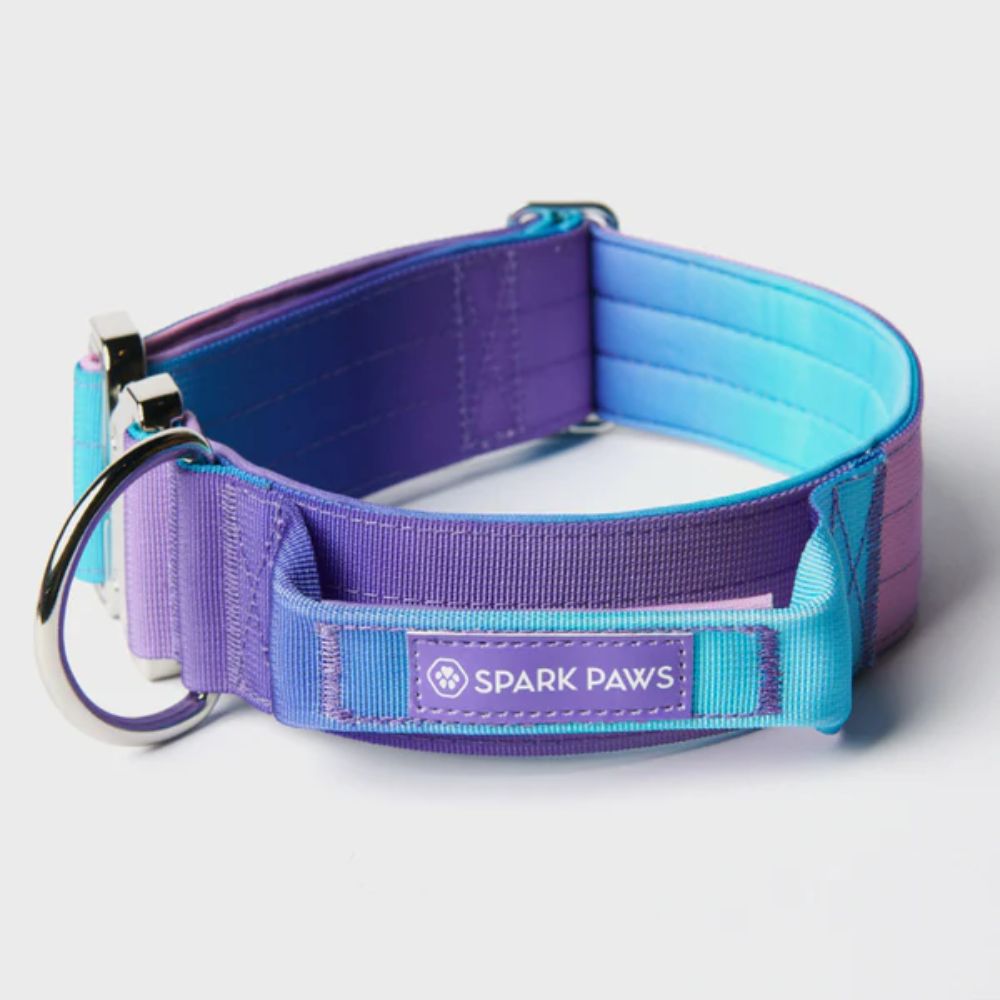 Sparkpaws Comfort Control Collar